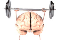 &laquo;Бодрость ума и ясность мышления!..&raquo;