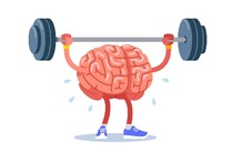 «Гимнастика для ума»